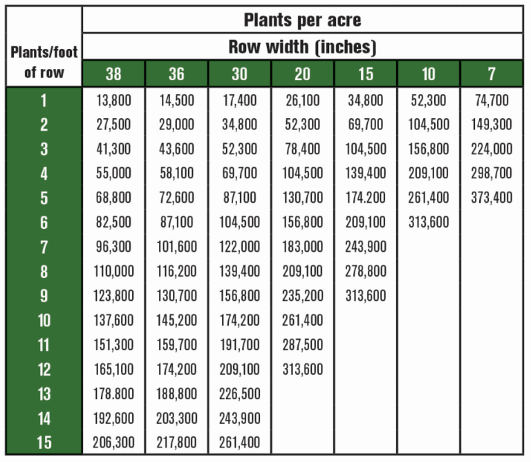 Check Those Soybean Stands! Latham HiTech Seeds