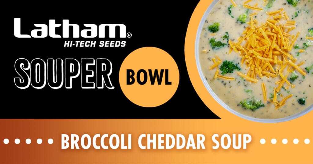 Countdown to the Souper Bowl - Latham Hi-Tech Seeds