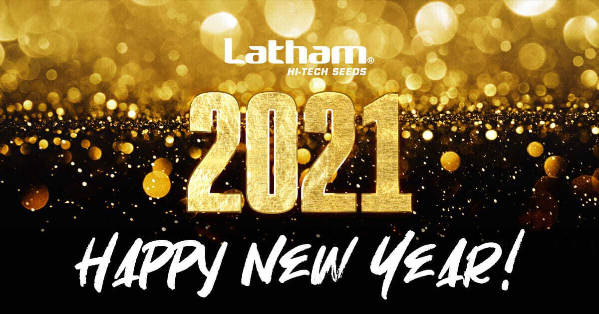 Happy new year from latham