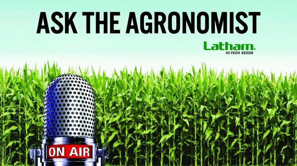 Ask the Agronomist Feature Photo 01 1024x575 1024x575