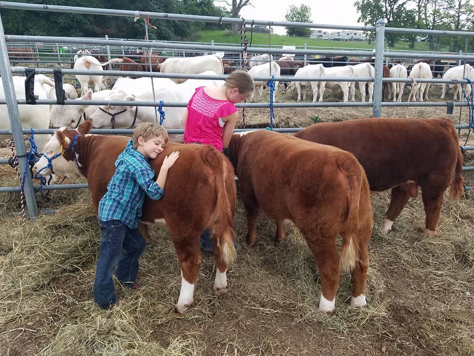 2017 State Fair tie outs