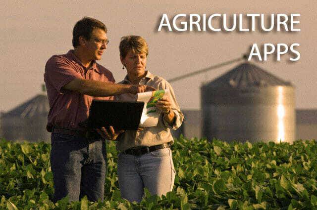 Husband and wife farmers standing in their mid growth soybean field