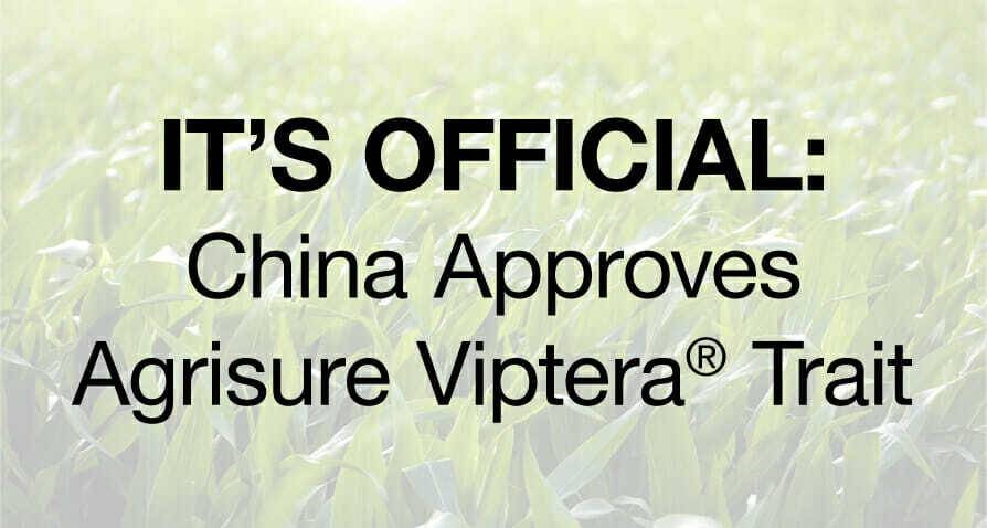 It’s Official: China Approves Agrisure Viptera® Trait