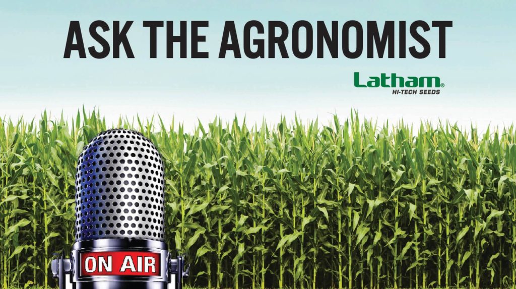 Ask the Agronomist: New Soybean Technology Approvals