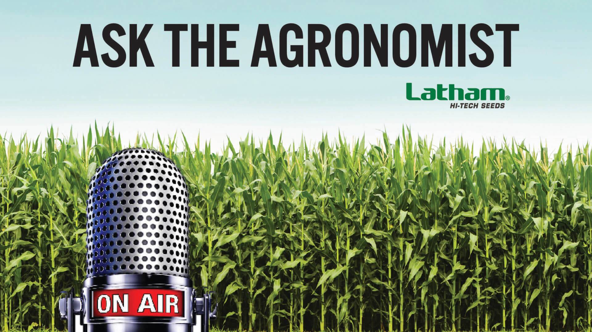 Ask the Agronomist Feature Photo 01