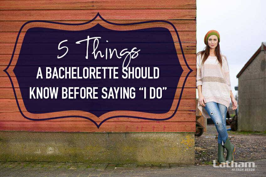 5 Things a Bachelorette Should Know before Saying “I Do”