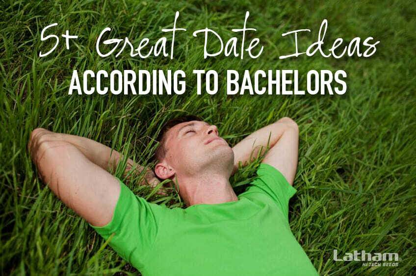 5+ Great Date Ideas, According to Bachelors