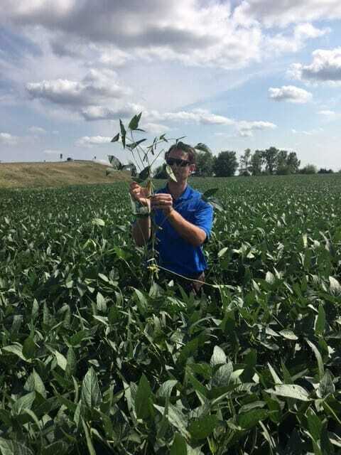 From the Field Crop Report: August 23