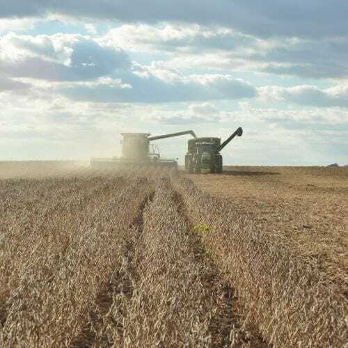 From the Field Crop Report: Oct 25