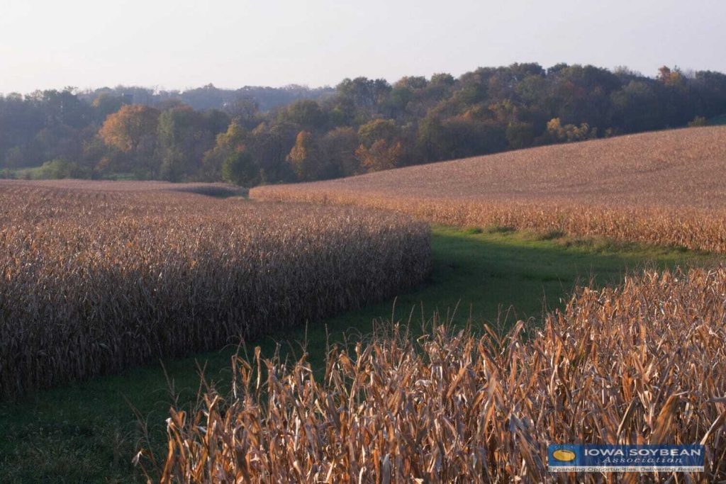 Showcasing Conservation Practices is a “Snap” with #FarmersCoverIowa