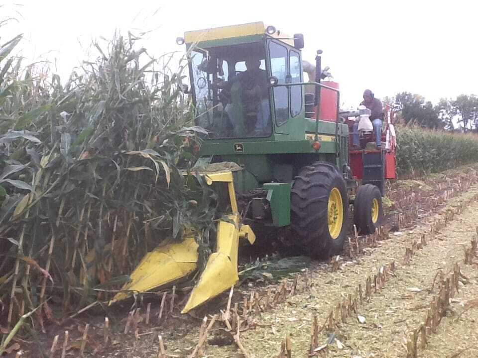 Harvest Underway in Latham Country