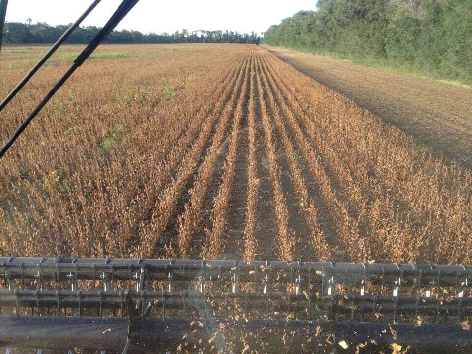 Reducing Harvest Loss Begins at the Header