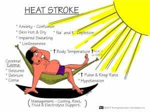 Heat Stroke1