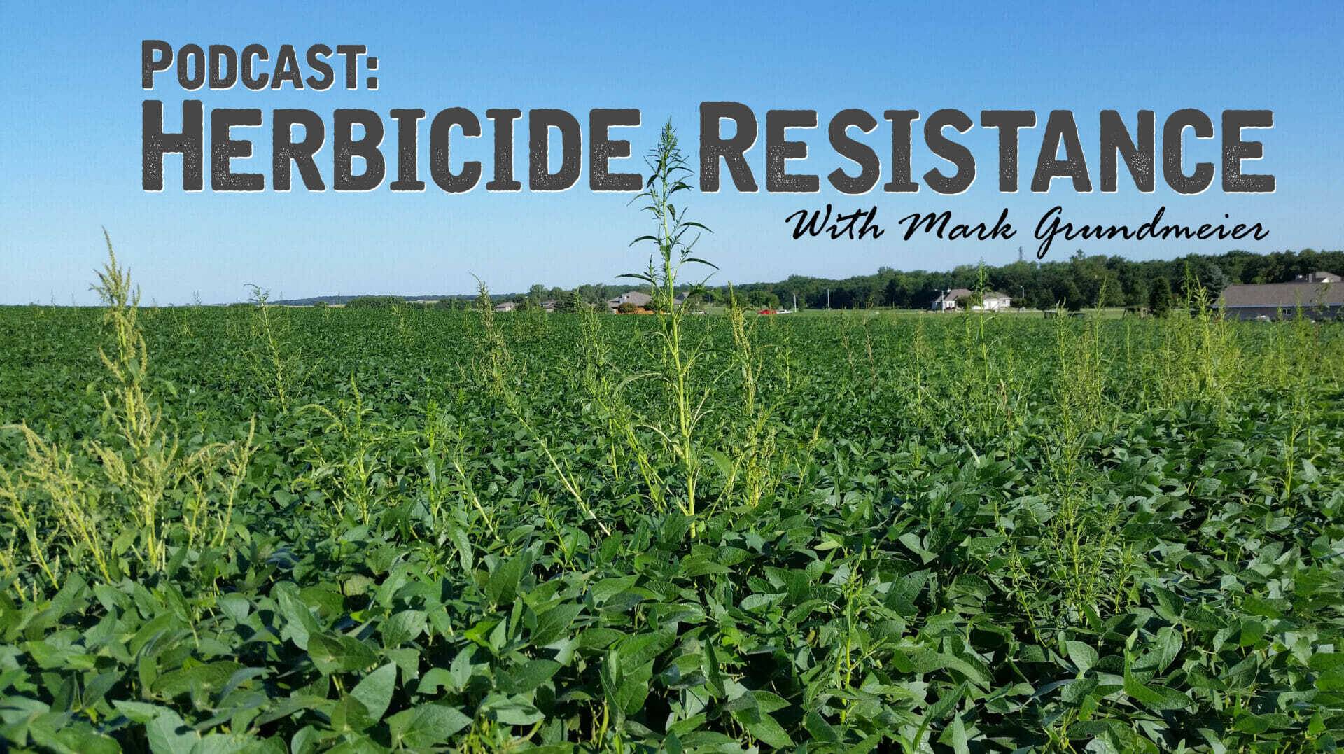 Podcast: Planning for Herbicide Resistant Weeds