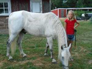 The Pig Farmer Buys 2 Horses