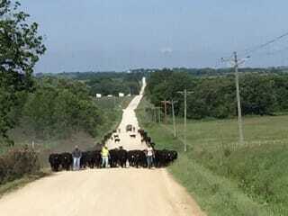 McGregor Encourages Beef Producers to Help Connect Gate to Plate