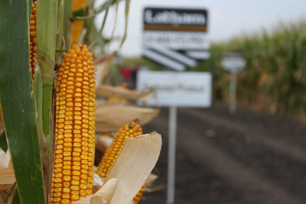 Latham Hi‑Tech Seeds… 70 Years and Growing