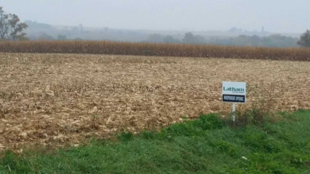 Wet Weather Halts #Harvest14