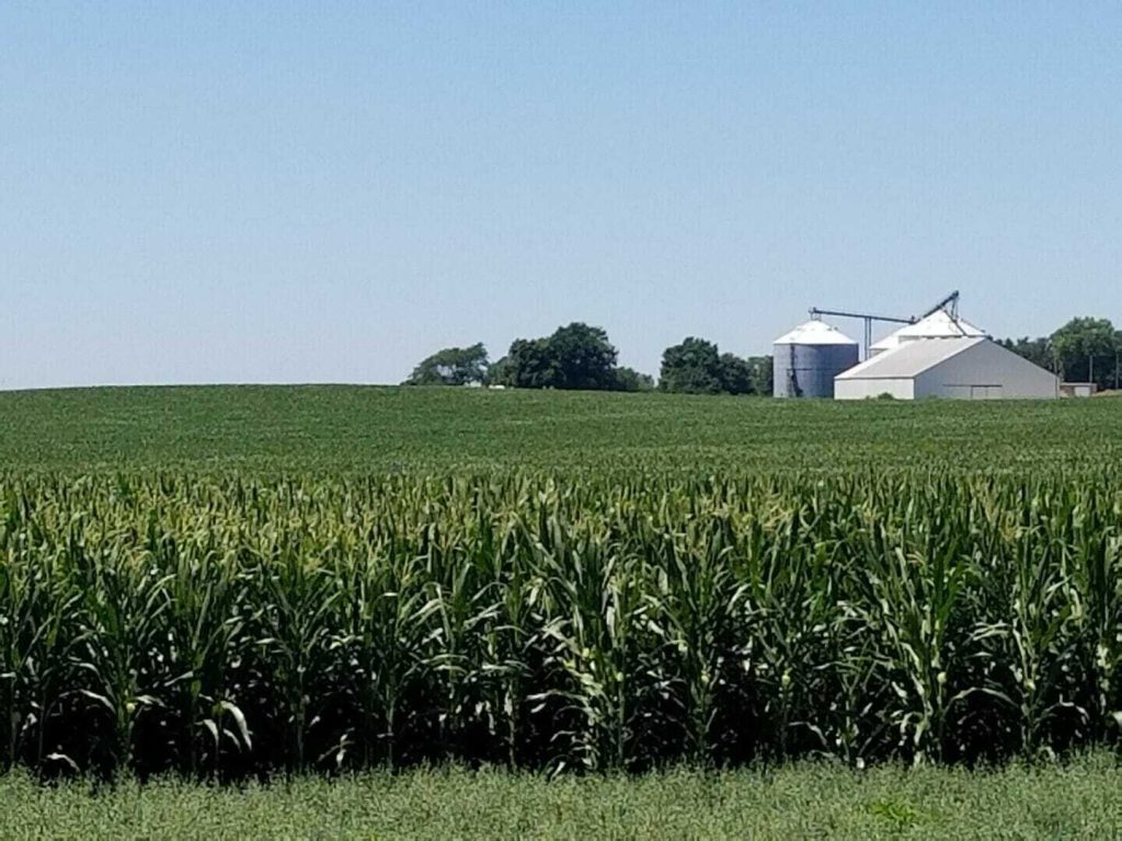 From the Field Crop Reports: July 4