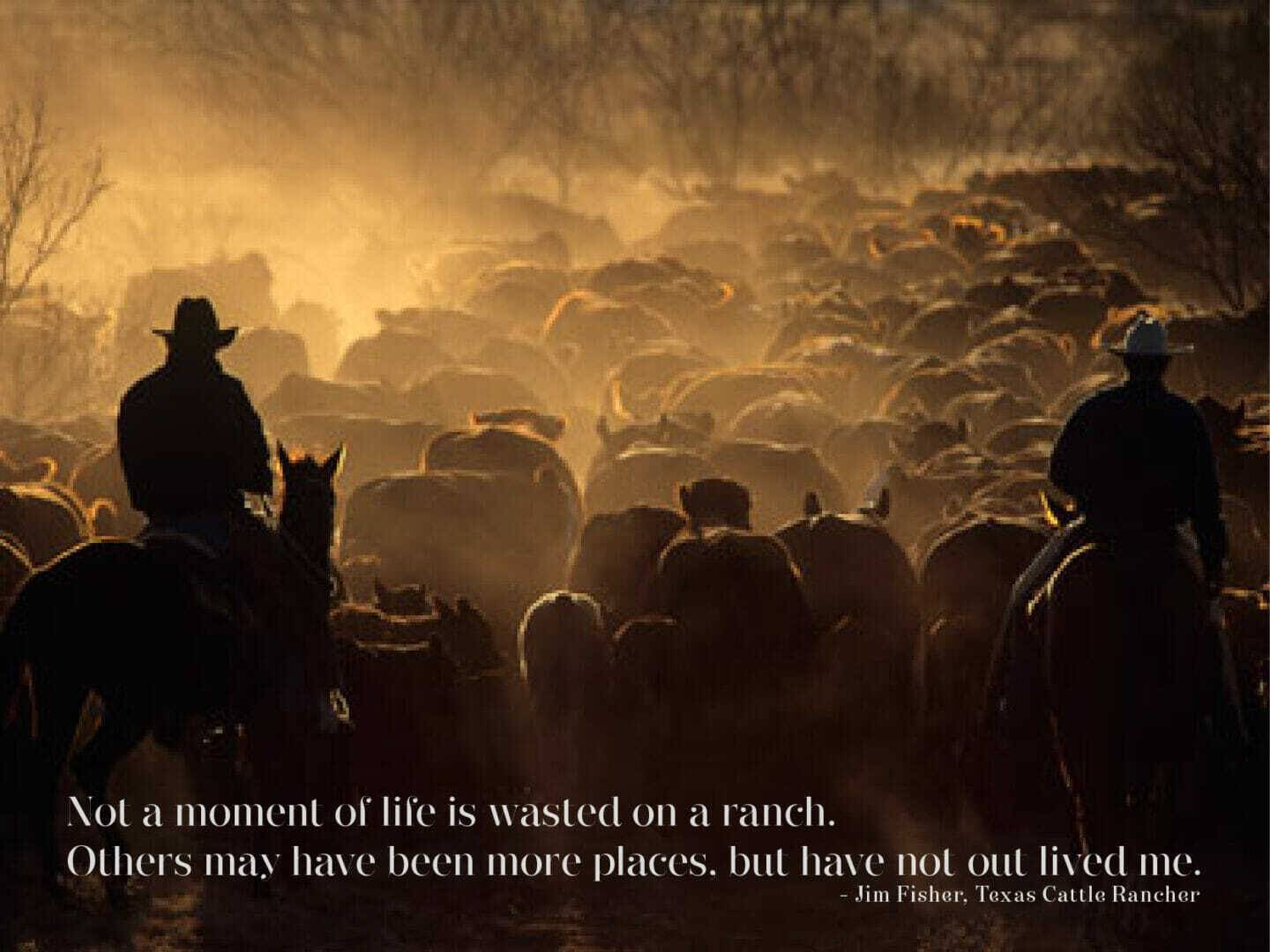 JimFisher CattlemanQuote