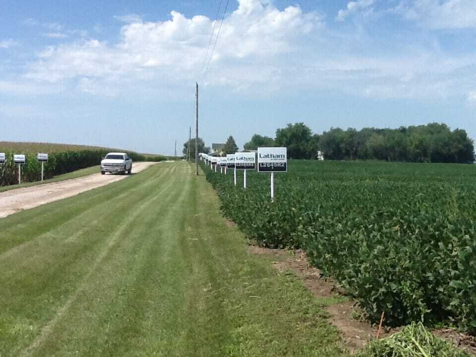 Kerr soybean plot