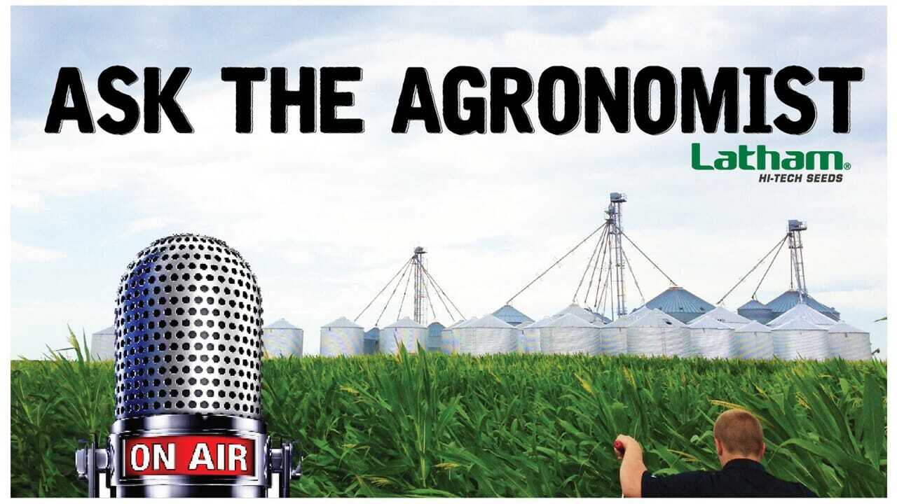 Podcast: Seed Product, Treatments & Football!