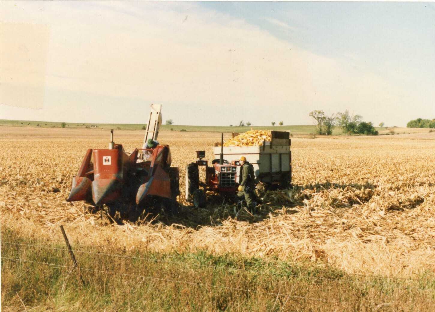 LarryS PickingCorn Old