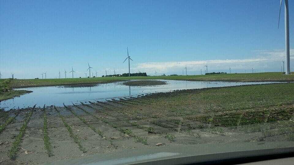 Larrys wet field