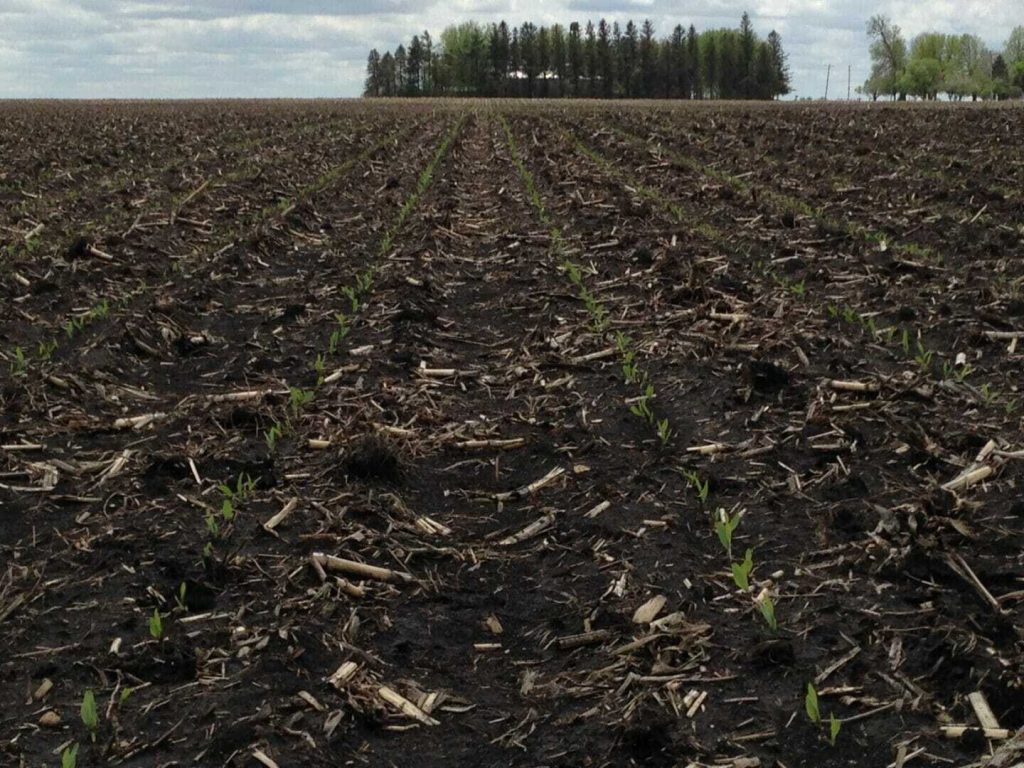 #plant14 Wraps Up in the West but has Yet to Begin in Parts of the North