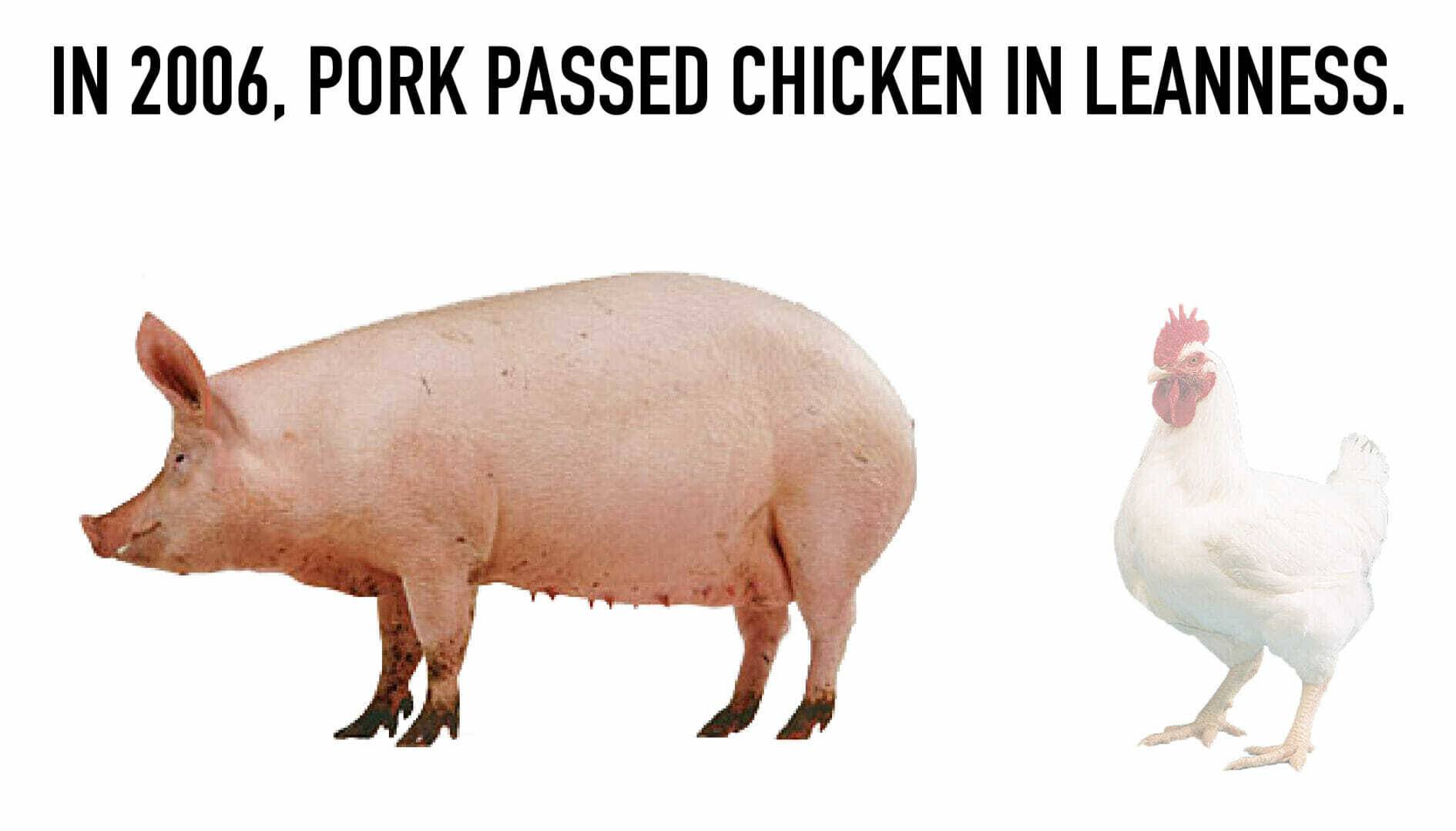 PorkFactoid