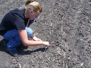 See First-Hand How Corn Has Evolved