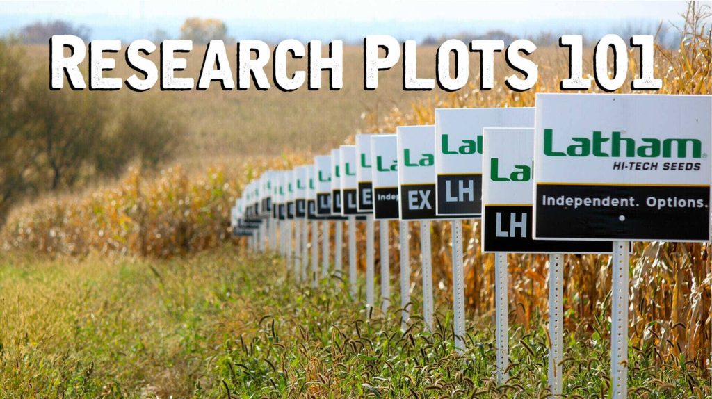 Research Plots Show Outstanding Performance