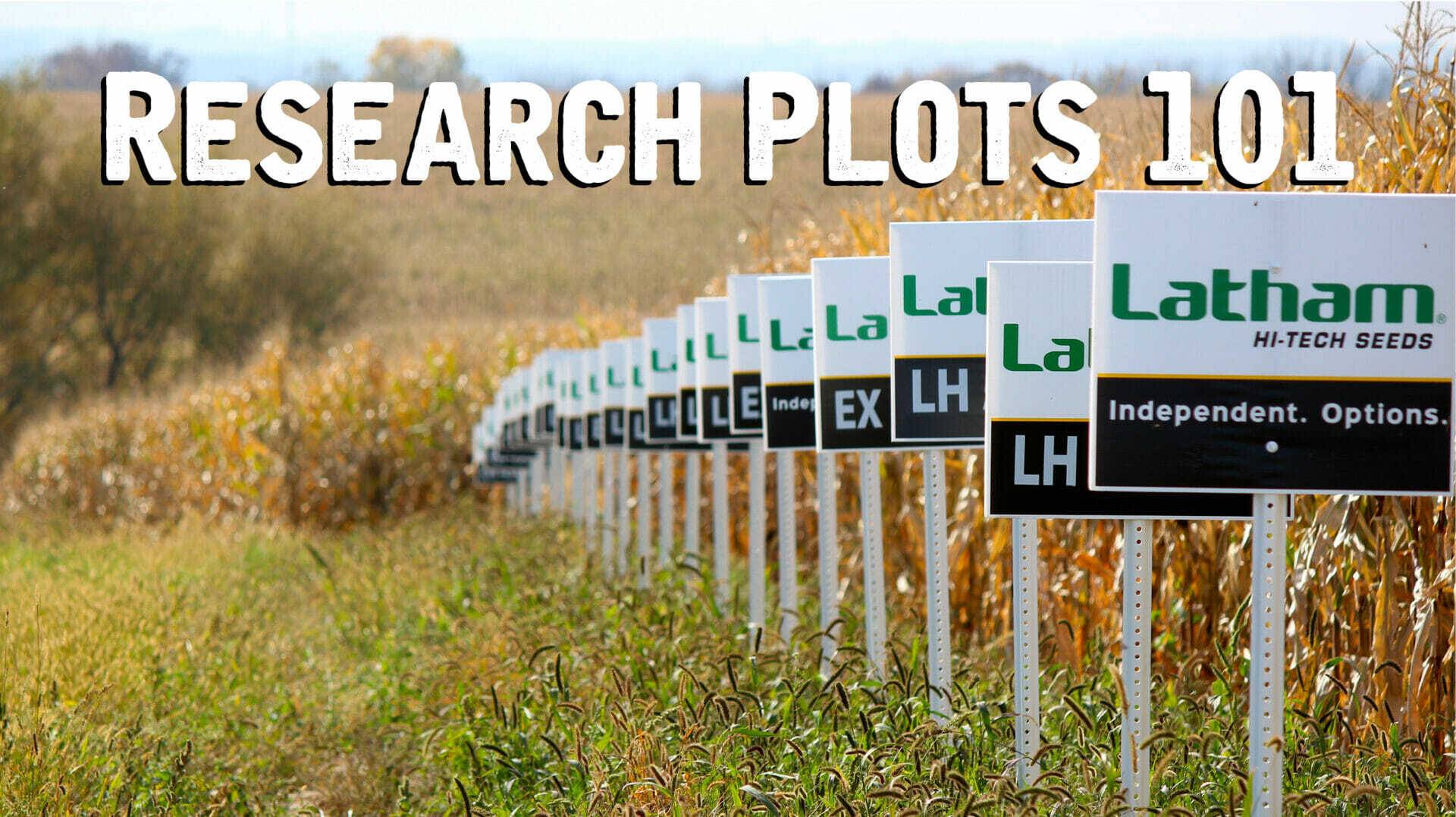 Research Plots 101