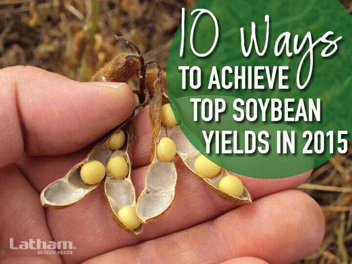 Reach New Yield Levels in the New Year!