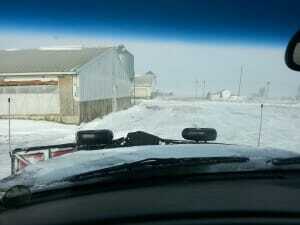 My Pigs Stay Safe and Warm Despite Harsh Winter Conditions