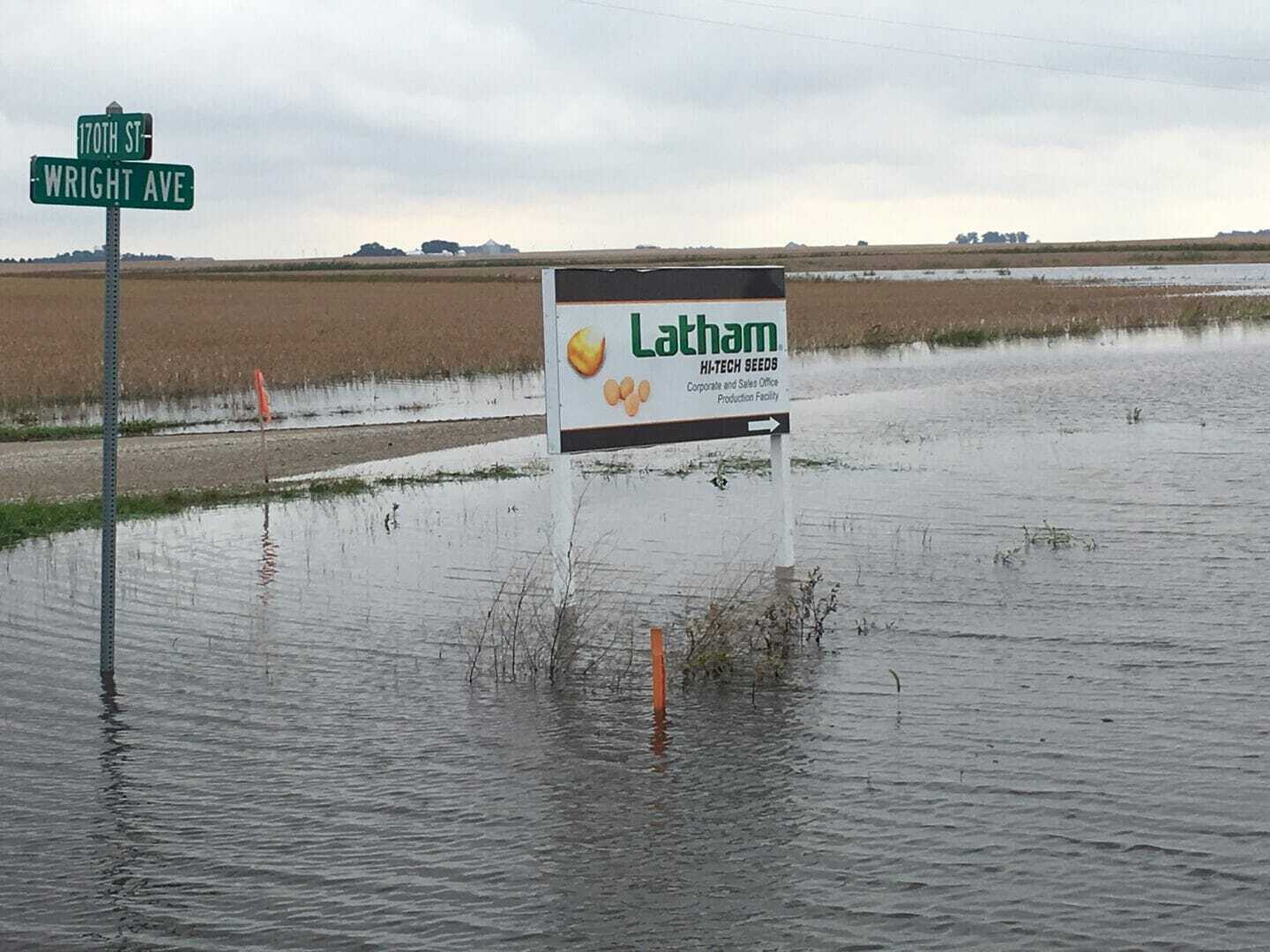 Wet latham sign