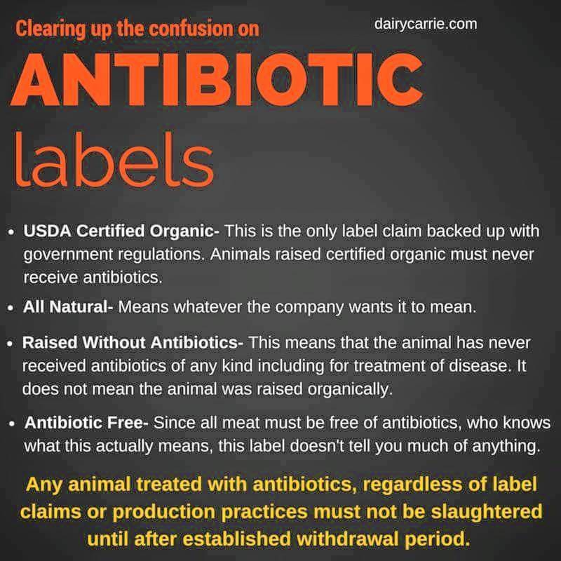 Antiobiotics labels