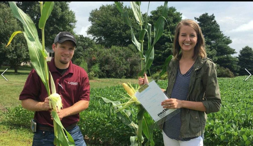 #AsktheAgronomist: The Effect of Nitrogen Loss on Corn in 2018