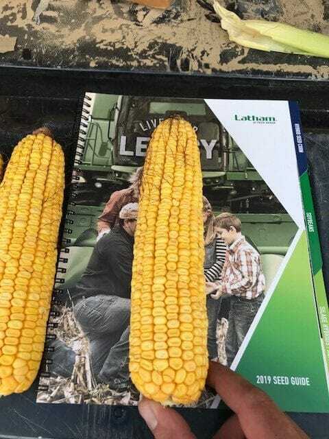 From the Field Crop Report Update 8/22/18