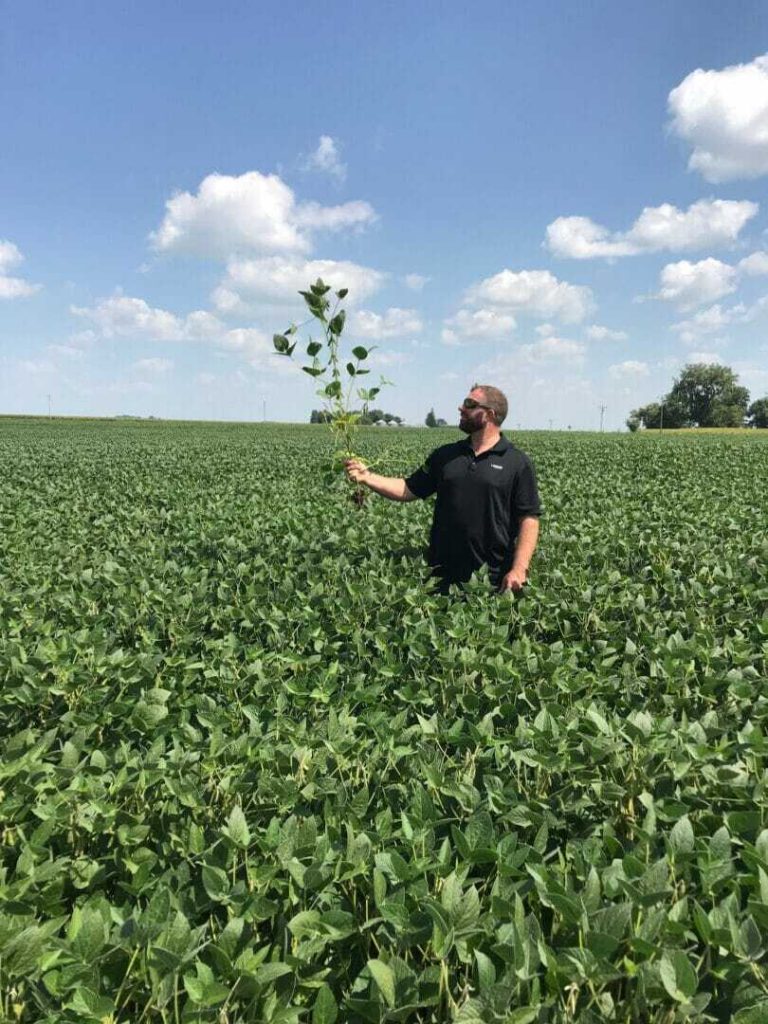 From the FIeld Crop Report Update 8/29/2018