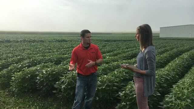 FB Live: Fall Cover Crop Planning