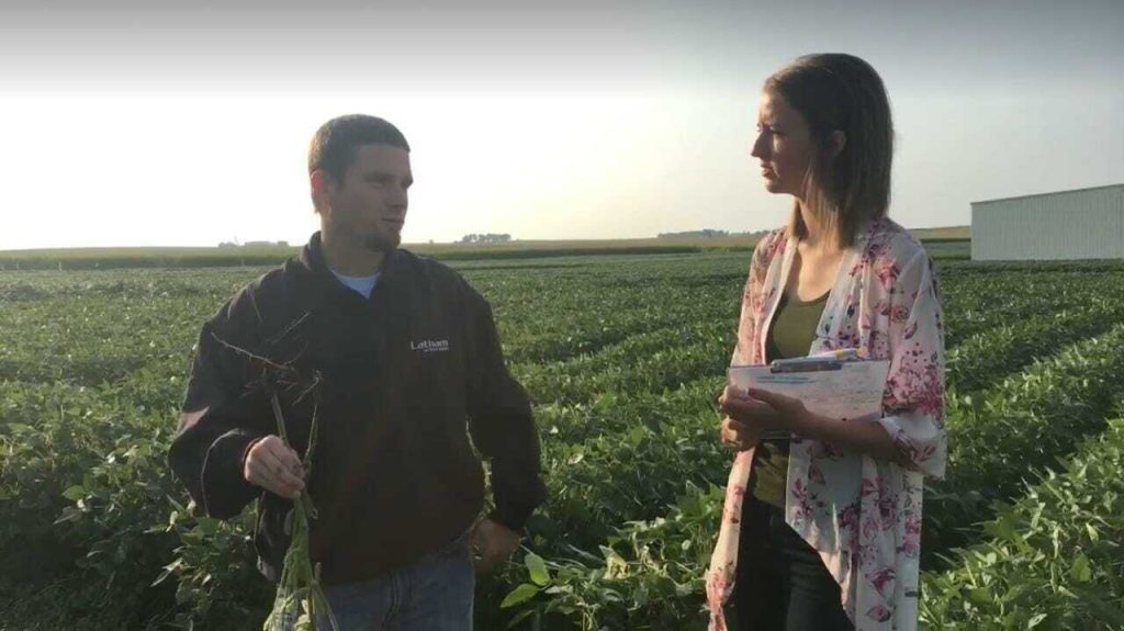 FB Live: Gall Midge & Late Season Scouting