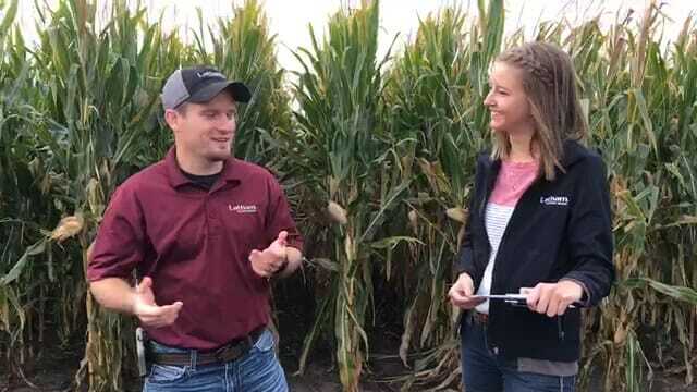 Facebook Live #AskTheAgronomist is One Year Old!