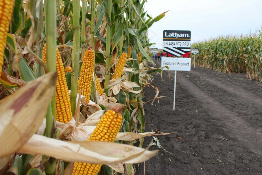 Latham® Products on Display Today at Annual Field Day