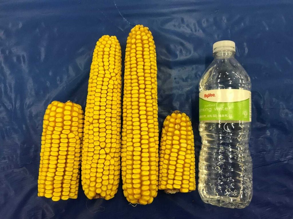 From the Field Crop Reports 9/12/18