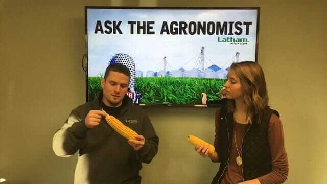 #AskTheAgronomist: What’s Wrong With My Ear?