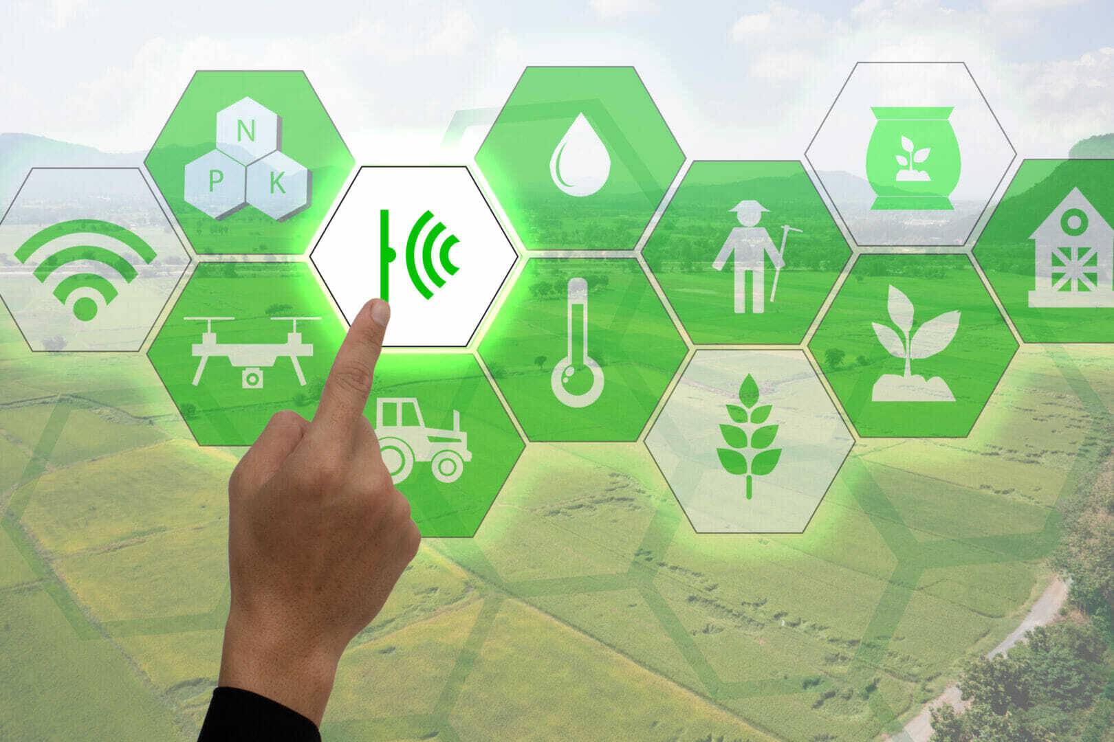 Internet of things(agriculture concept),smart farming,industrial agriculture