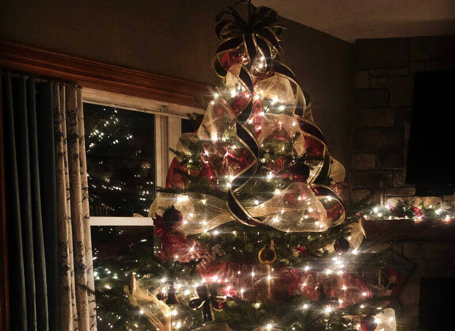 Laura Cunningham Christmas Tree Cropped