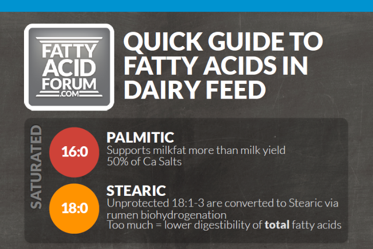 Latham Selects Forage Products Based on Hi‑Tech Measures