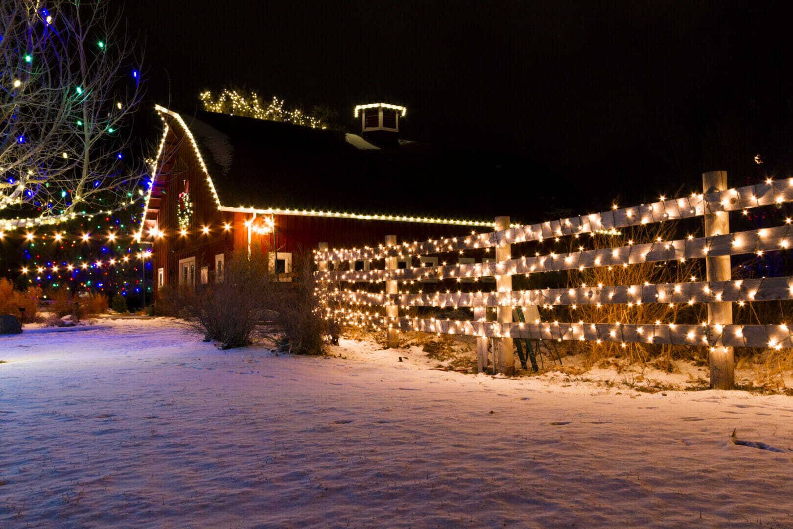 Christmas Lights